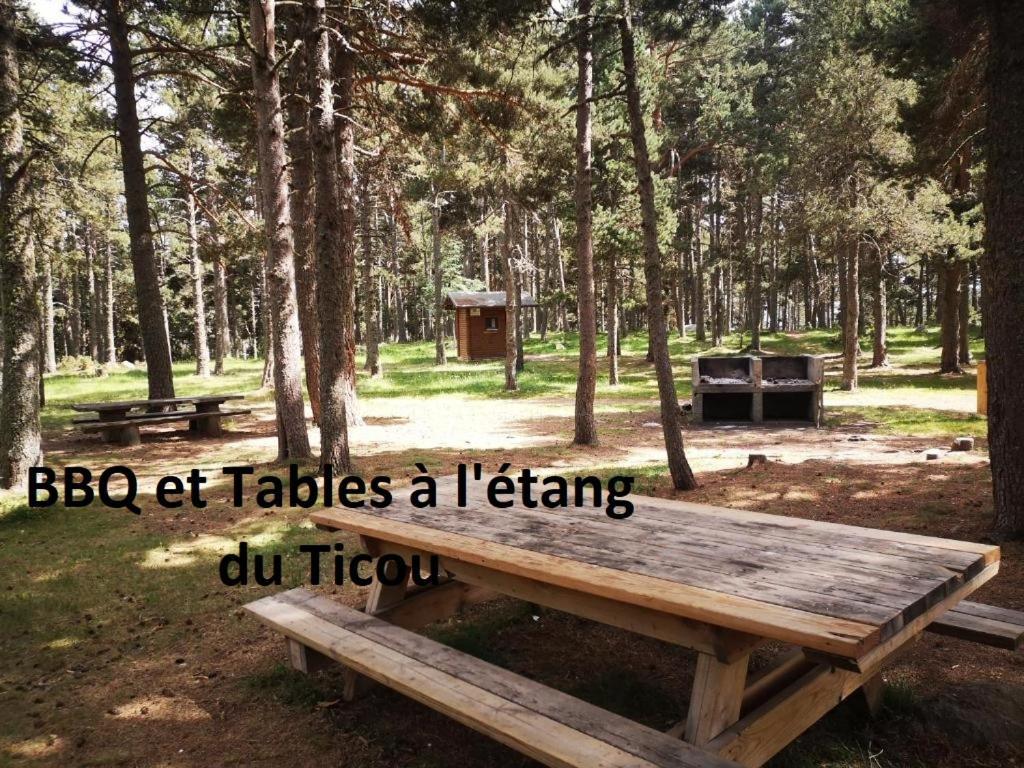 Apt Confortable Au Pied Des Pistes Et De La Foret Bolquere Pyrenees 2000 Eksteriør billede